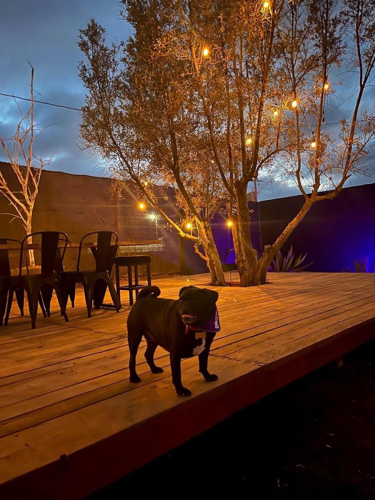 Finca Cazosa บาเย เด กัวลาลูเป ภายนอก รูปภาพ